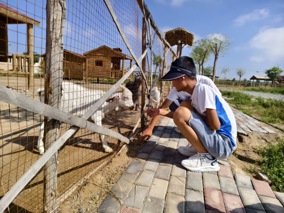凯时尊龙人生就是博·Z6(中国)首页官网