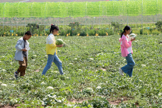 凯时尊龙人生就是博·Z6(中国)首页官网